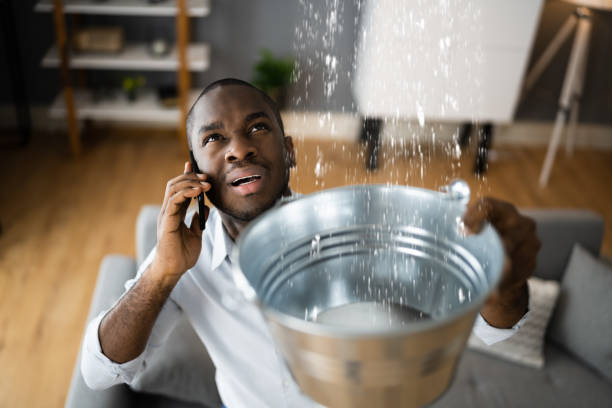 Tavares, FL Water damage restoration Company