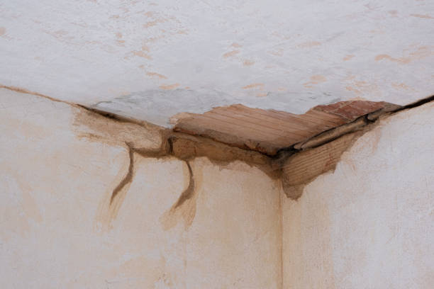 Best Fire Damage Restoration  in Tavares, FL
