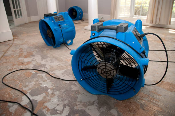 Best Ceiling water damage repair  in Tavares, FL