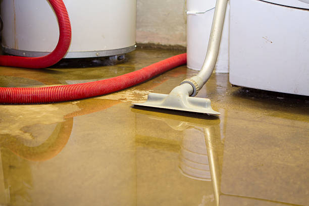 Best Basement water damage restoration  in Tavares, FL
